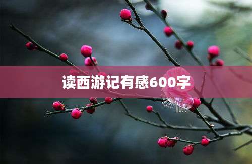 读西游记有感600字
