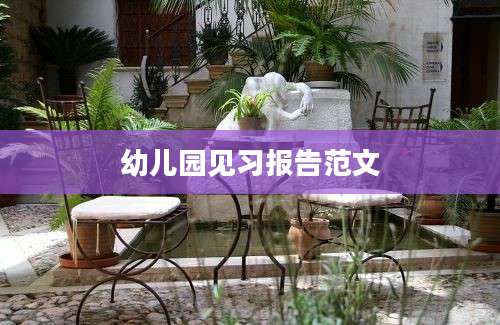 幼儿园见习报告范文