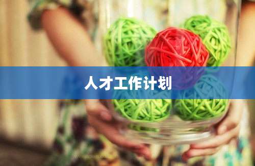 人才工作计划