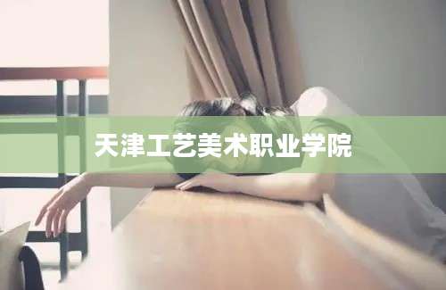 天津工艺美术职业学院