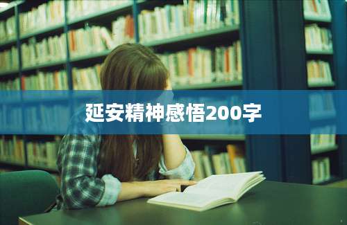 延安精神感悟200字