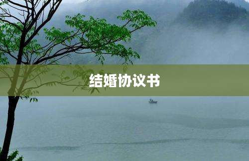 结婚协议书