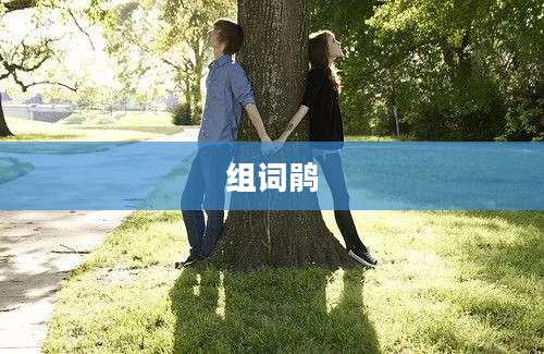 组词鹃