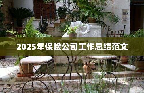 2025年保险公司工作总结范文