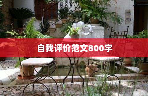自我评价范文800字