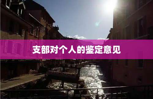 支部对个人的鉴定意见