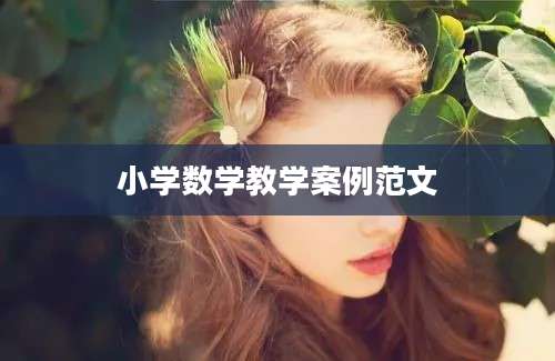 小学数学教学案例范文