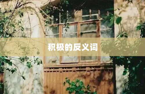 积极的反义词