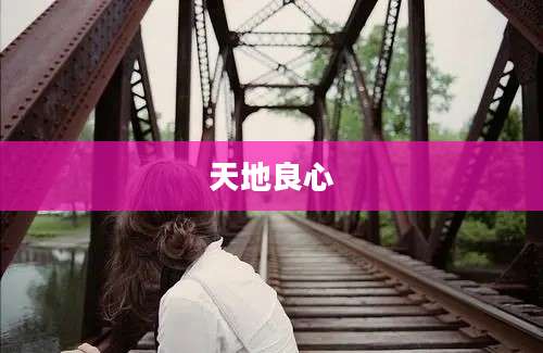 天地良心