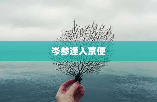 岑参逢入京使