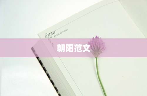 朝阳范文