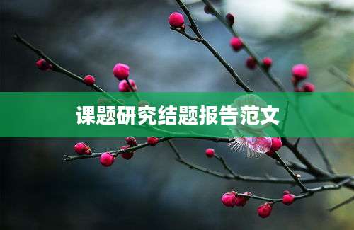 课题研究结题报告范文
