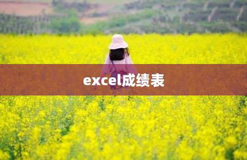 excel成绩表