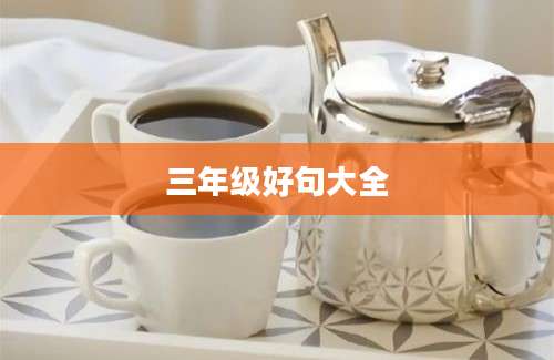 三年级好句大全