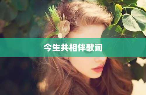 今生共相伴歌词