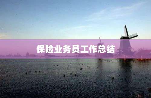 保险业务员工作总结