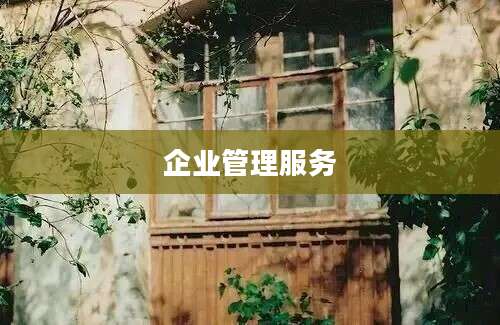 企业管理服务