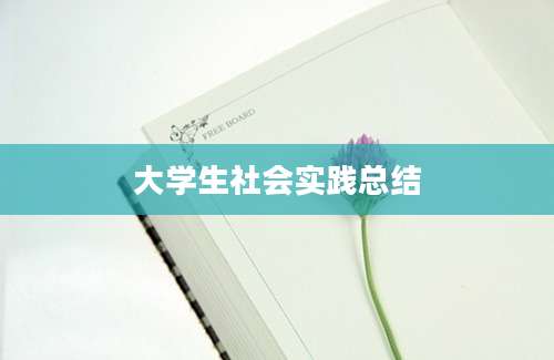大学生社会实践总结