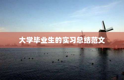 大学毕业生的实习总结范文