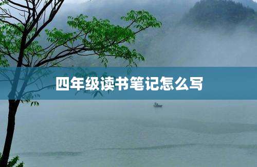 四年级读书笔记怎么写