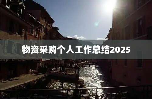 物资采购个人工作总结2025