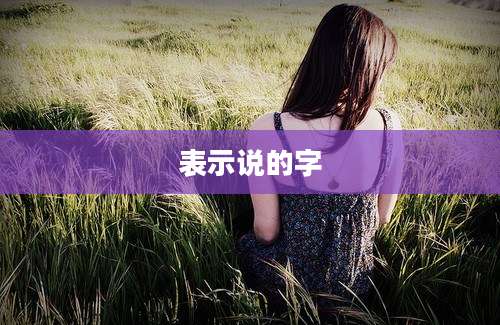 表示说的字