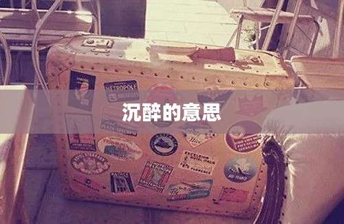 沉醉的意思