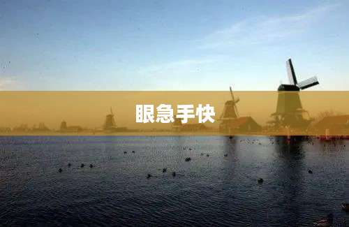 眼急手快