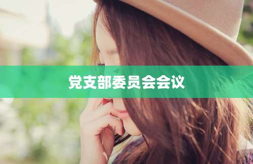 党支部委员会会议
