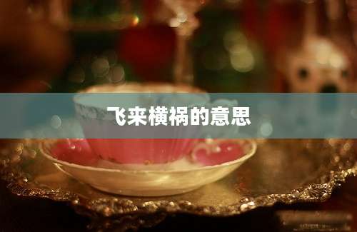 飞来横祸的意思