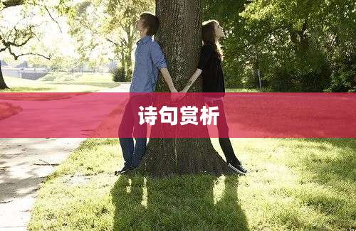 诗句赏析