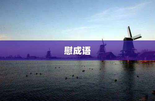 慰成语
