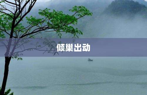 倾巢出动