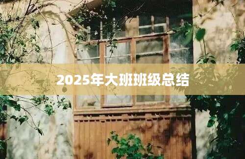 2025年大班班级总结