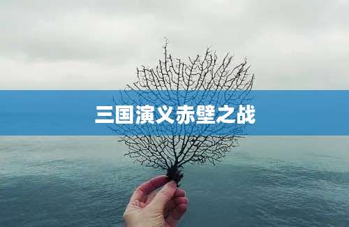 三国演义赤壁之战
