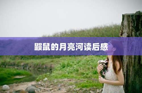 鼹鼠的月亮河读后感