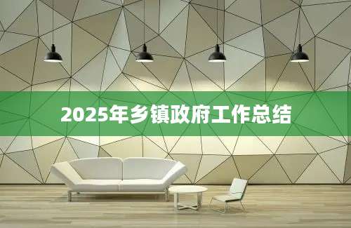 2025年乡镇政府工作总结