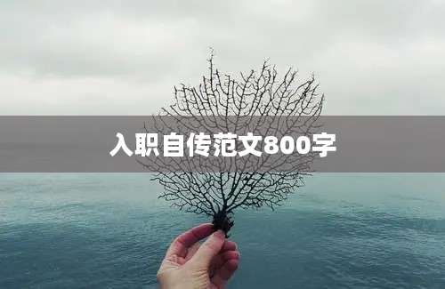 入职自传范文800字