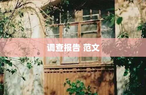 调查报告 范文