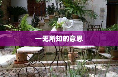 一无所知的意思