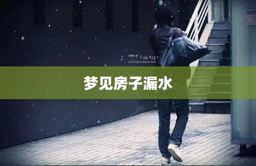 梦见房子漏水