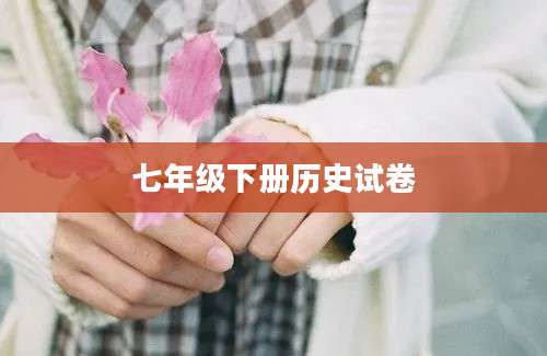 七年级下册历史试卷