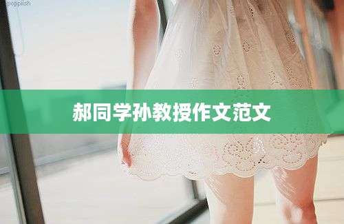 郝同学孙教授作文范文