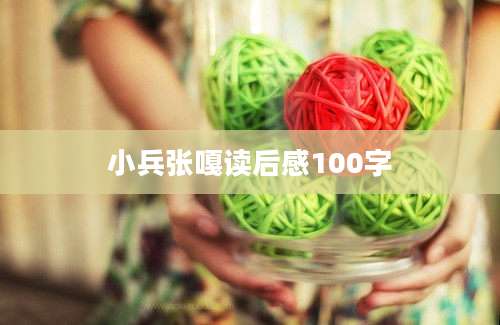 小兵张嘎读后感100字