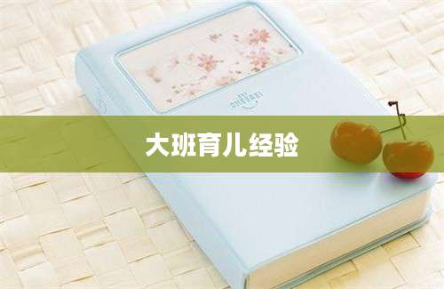 大班育儿经验