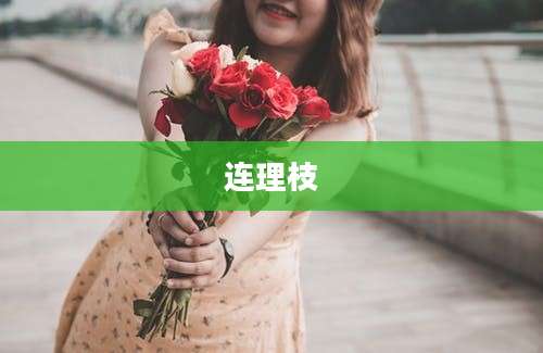 连理枝