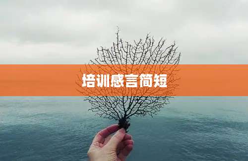 培训感言简短