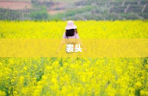 表头