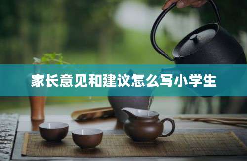 家长意见和建议怎么写小学生