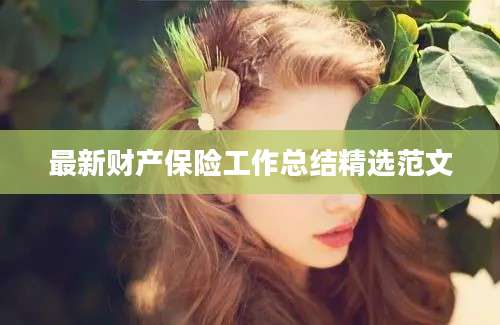 最新财产保险工作总结精选范文